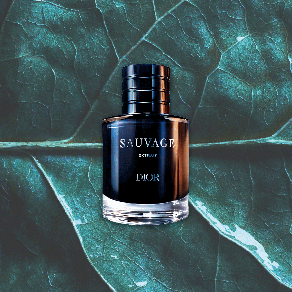 Featured image Diors Dense Scent Cements This Years Biggest Perfume Trend