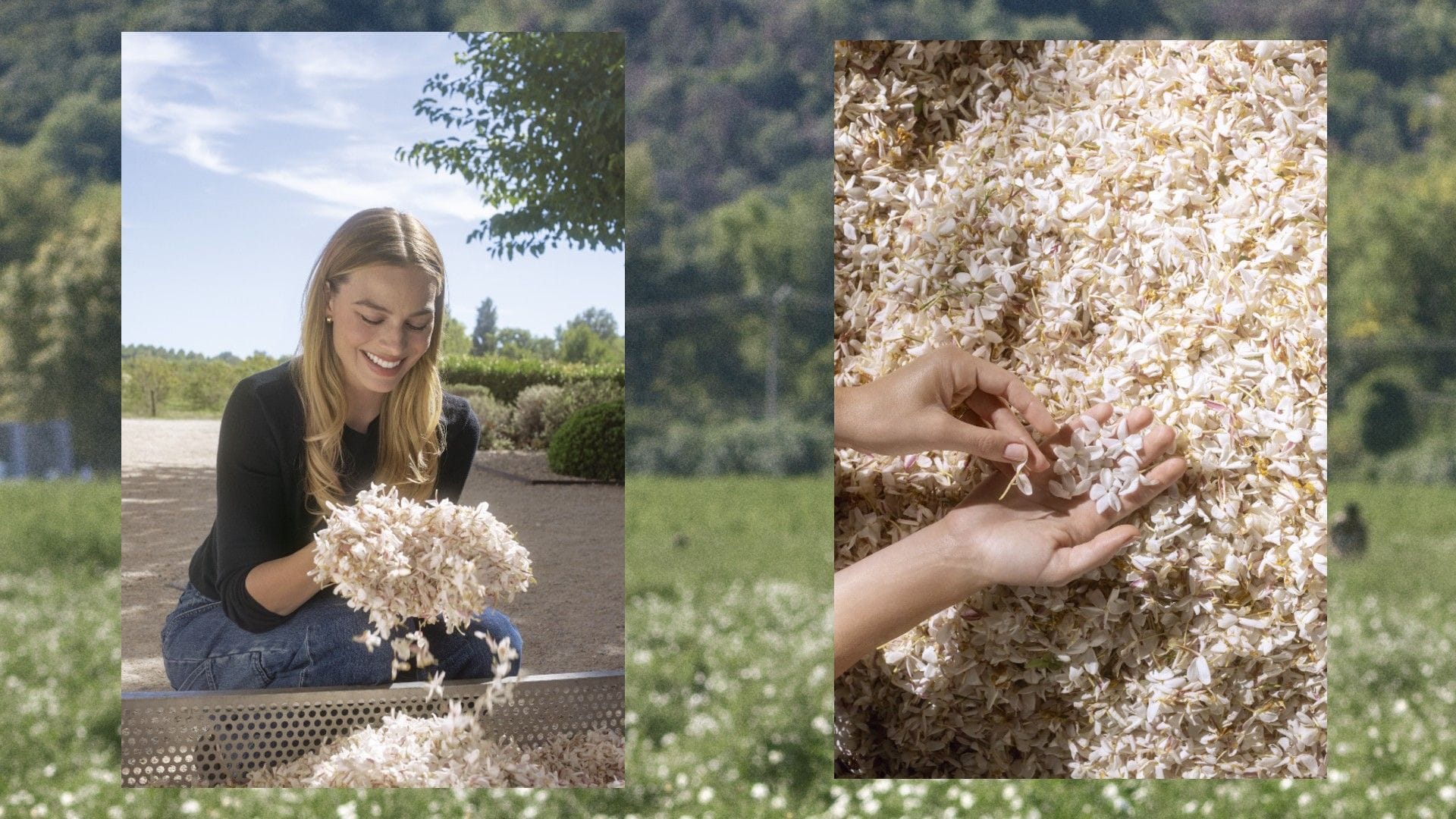 Featured image Chanel Film The Making of the Iconic N5 Fragrance